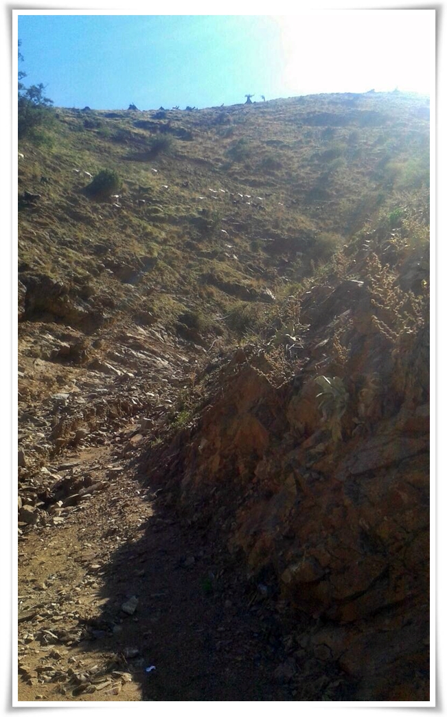 yol_calismasi (4)