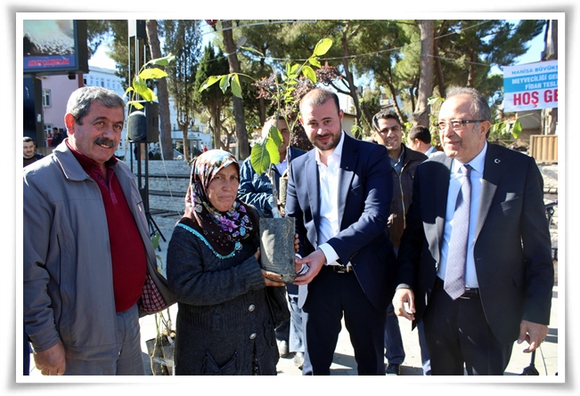 7700_ceviz_fidani-6