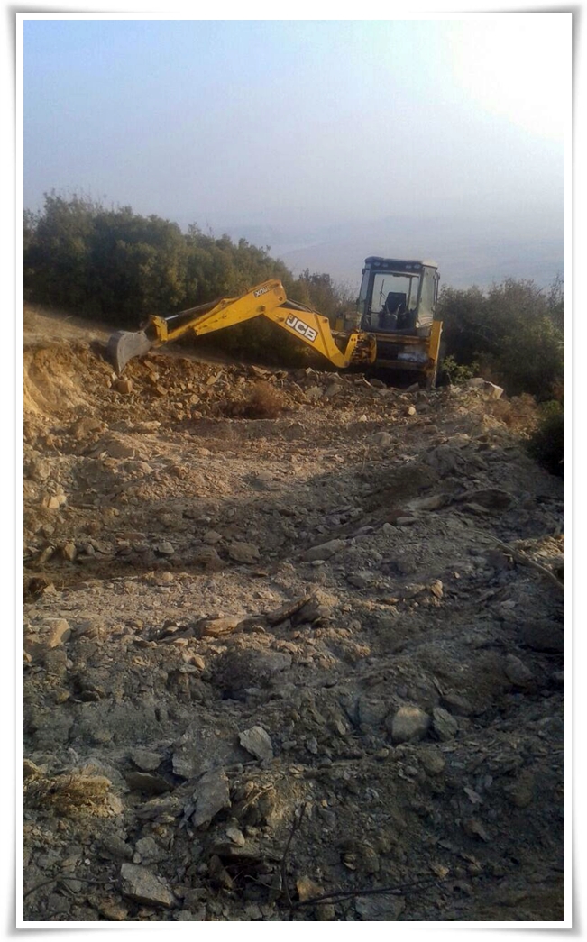 gulduren_yol-1