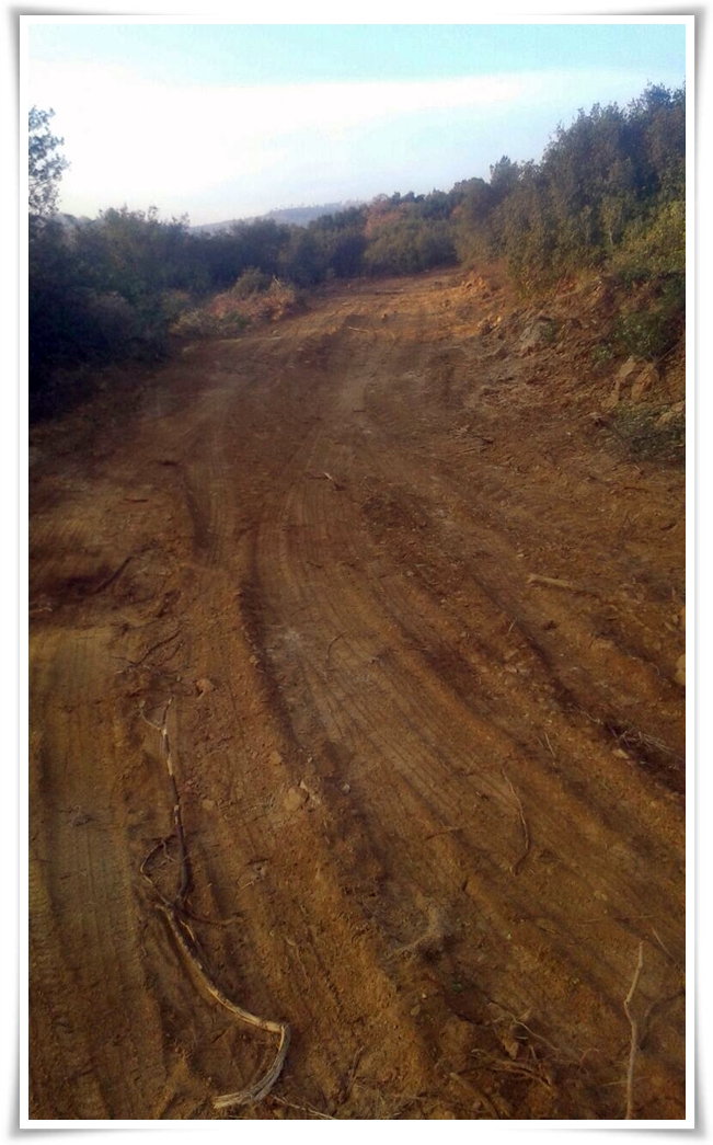 gulduren_yol-2