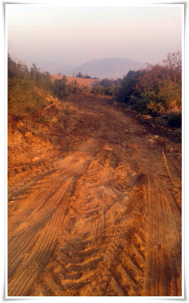 gulduren_yol-3