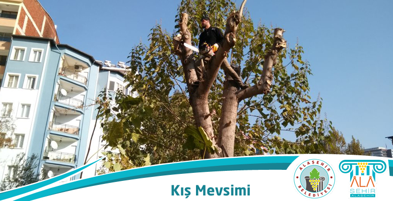 YAKLAŞAN KIŞ MEVSİMİ PARK VE BAHÇELER MÜDÜRLÜĞÜNÜ HAREKETLENDİRDİ