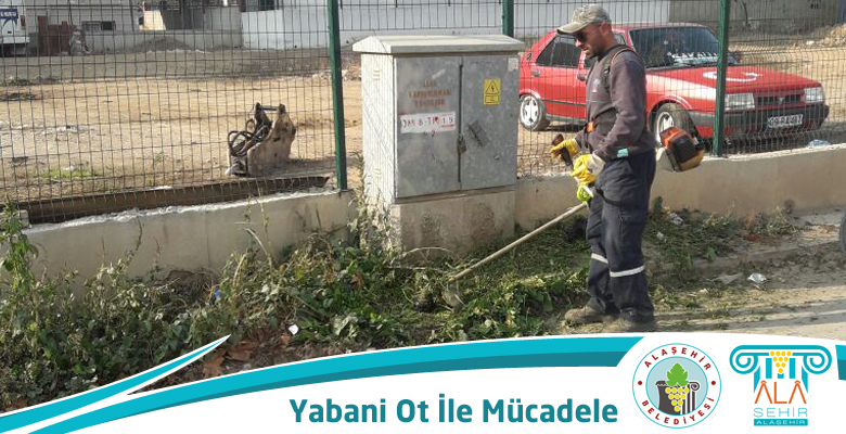 YABANİ OTLARIN BİÇİLMESİ