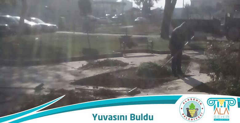 PALMİYE YENİ YUVASINI BULDU
