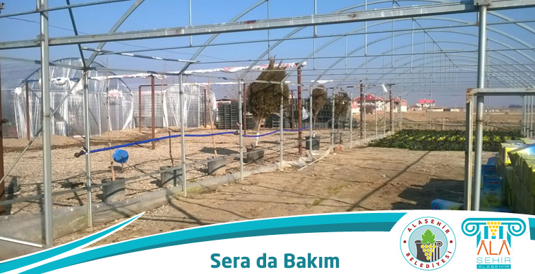 ALAŞEHİR’ SERA