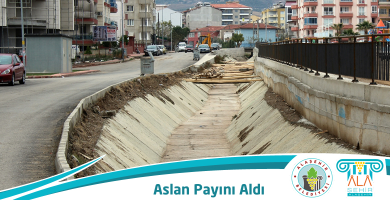 İRİCE DERESİ ASLAN PAYINI ALDI