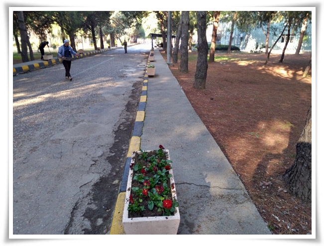botanik_bahce-3