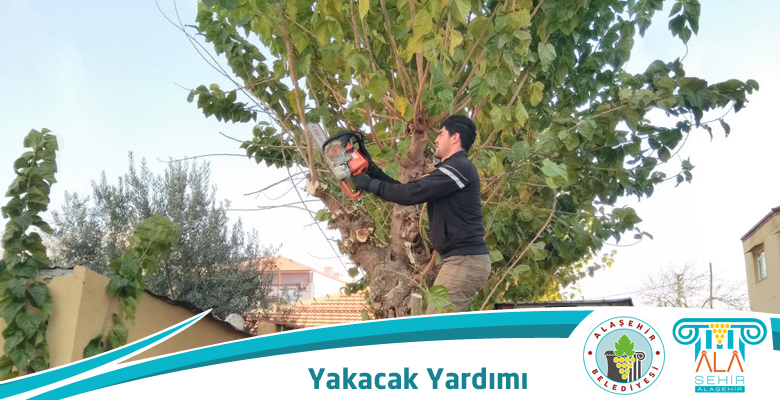 DAR GELİRLİYE AĞAÇ YAKACAKLAR BELEDİYEDEN