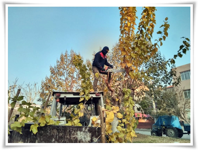 yakacak_yardimi-4