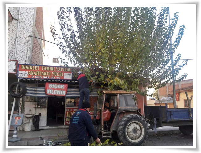 yakacak_yardimi-5