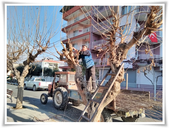 yakacak_yardimi-6