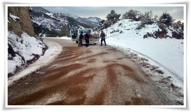 kar_ve_buza_onlem-6