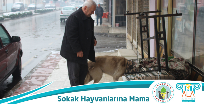 SOKAK HAYVANLARINA HAZIR MAMA ALAŞEHİR BELEDİYESİNDE