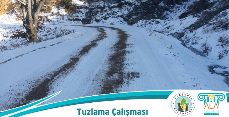 KAR TEMİZLEME VE TUZLAMA ÇALIŞMALARI ARALIKSIZ SÜRÜYOR
