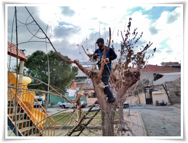 zayif_dallar_budandi-1