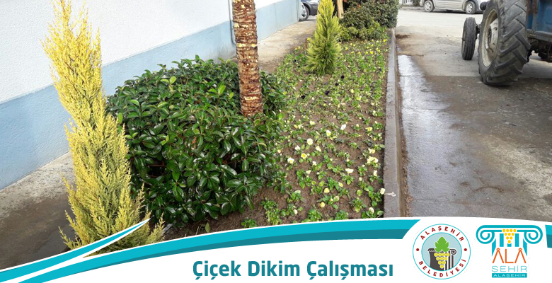 ALAŞEHİR BELEDİYESİ, AĞAÇ VE ÇİÇEK DİKİM ÇALIŞMALARINA HIZ VERDİ