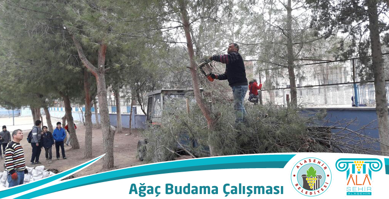 OKUL BAHÇELERİNDE AĞAÇ BUDAMA ÇALIŞMALARI DEVAM EDİYOR
