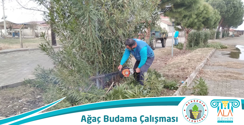 ILGIN MAHALLESİNDE AĞAÇ BUDAMA ÇALIŞMALARI DEVAM EDİYOR