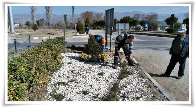 yabani_otlar_temizleniyor (1)