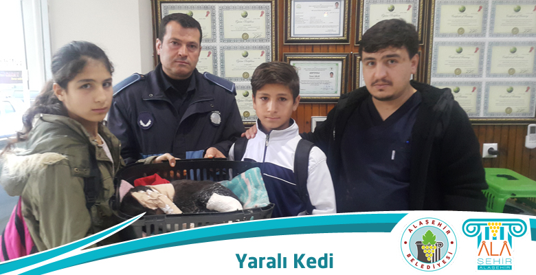BELEDİYE  EKİPLERİ YARALI KEDİ İÇİN SEFERBER OLDU