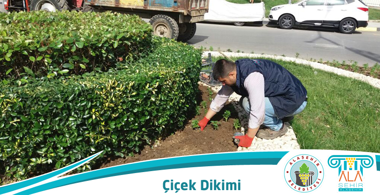  YAZ ÇİÇEKLERİ TOPRAKLA BULUŞTU
